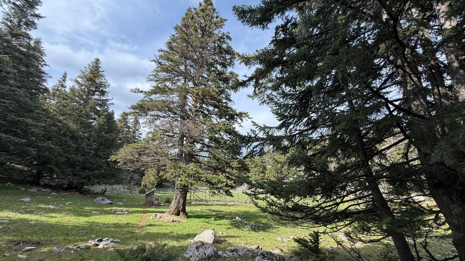 In the Heart of the Impassable, In the Footsteps of History: THE GREAT HOMONADA TREK