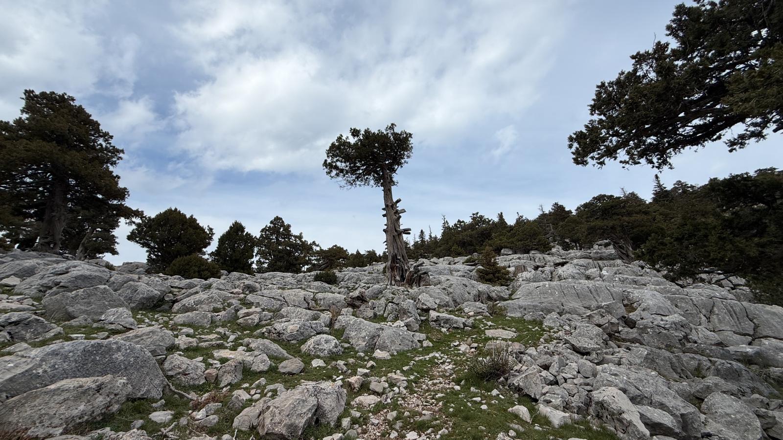 In the Heart of the Impassable, In the Footsteps of History: THE GREAT HOMONADA TREK