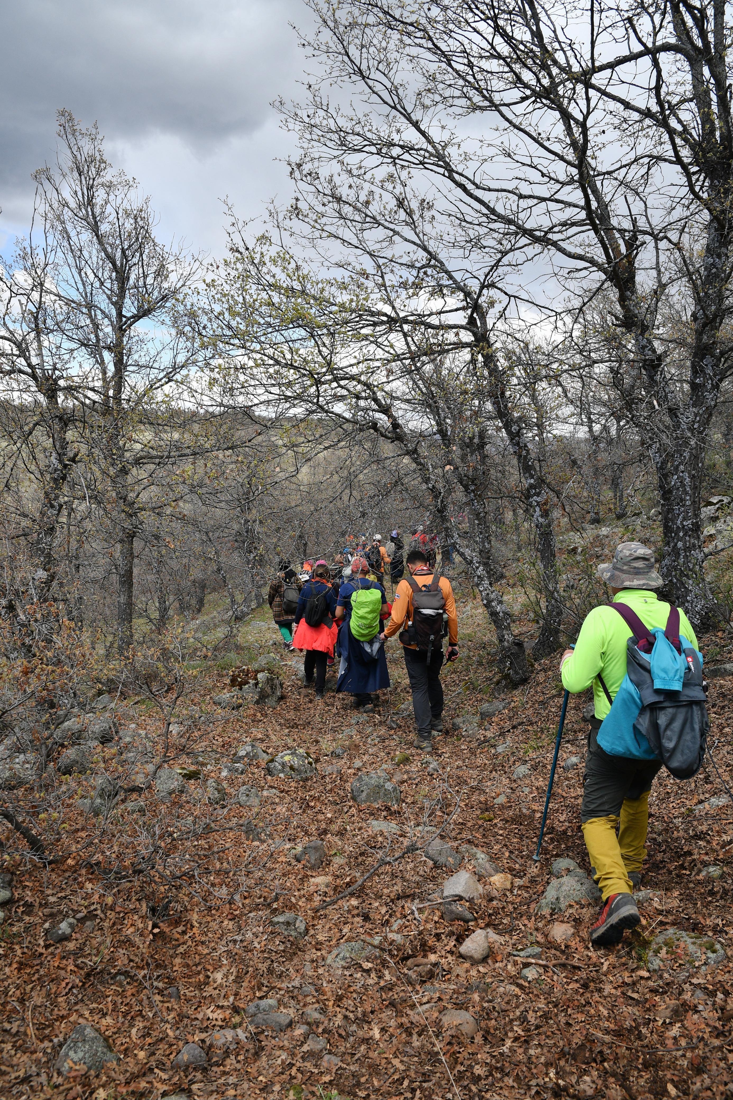 🌿 KEYKUBAD GÖÇ ve KERVAN YOLU Botsa – Evliyatekke – Kilistra Etabı