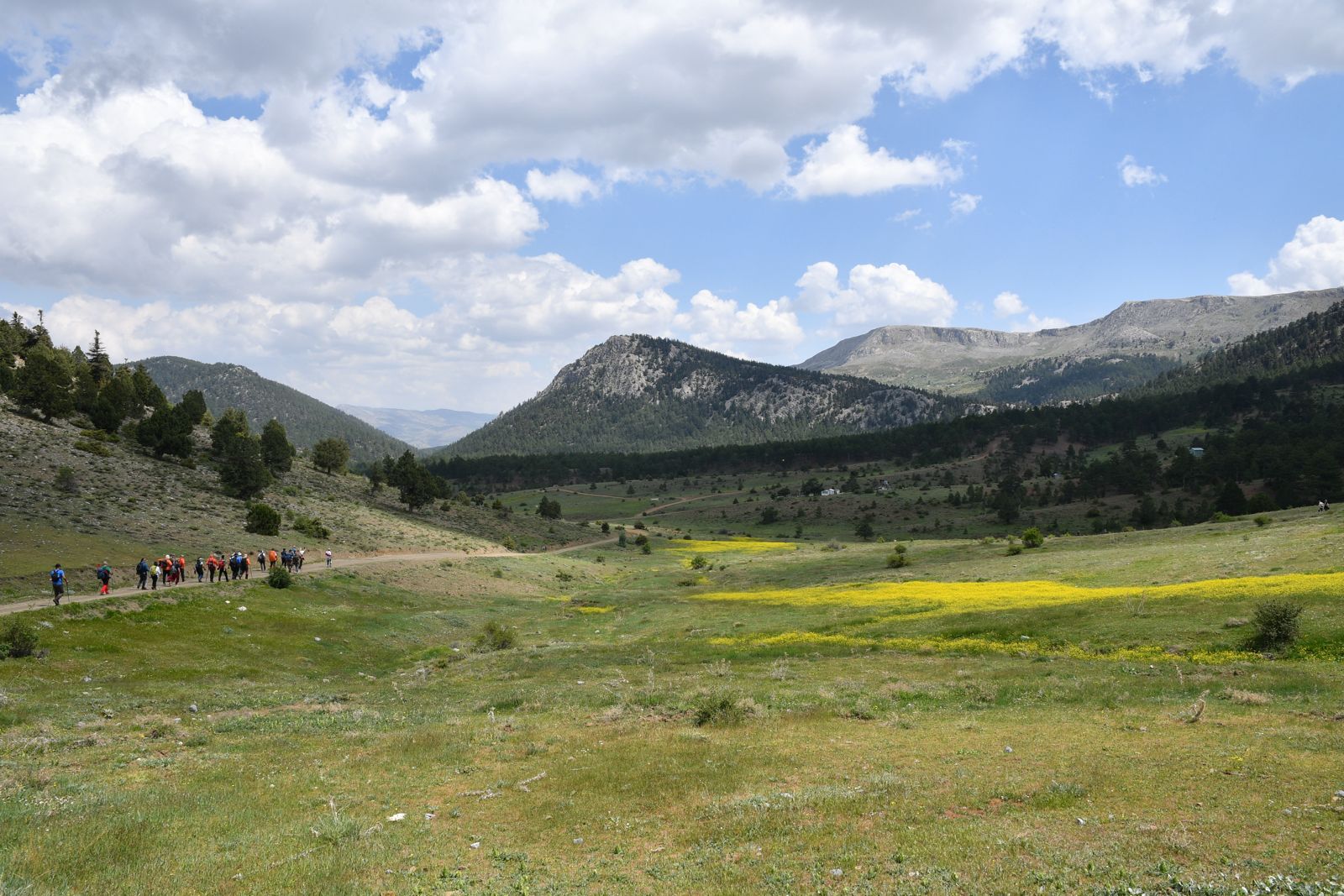 🌿 Zengibar Yolu - Bolat › Ovacık Etabı Doğa Yürüyüşü Turu