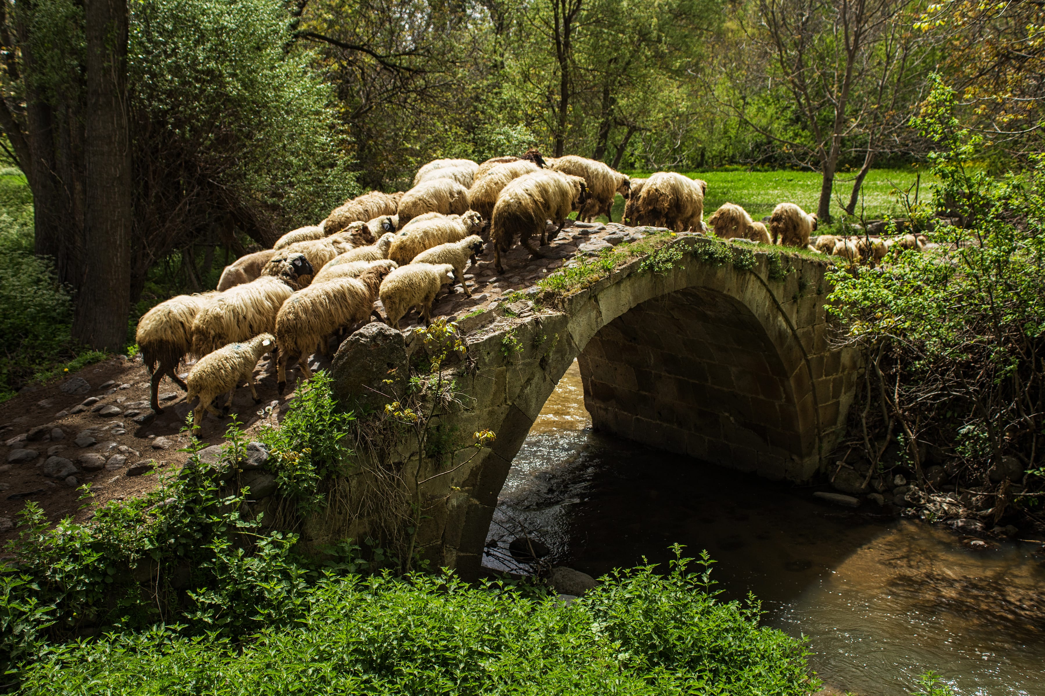 🌿 KEYKUBAD GÖÇ ve KERVAN YOLU Botsa – Evliyatekke – Kilistra Etabı