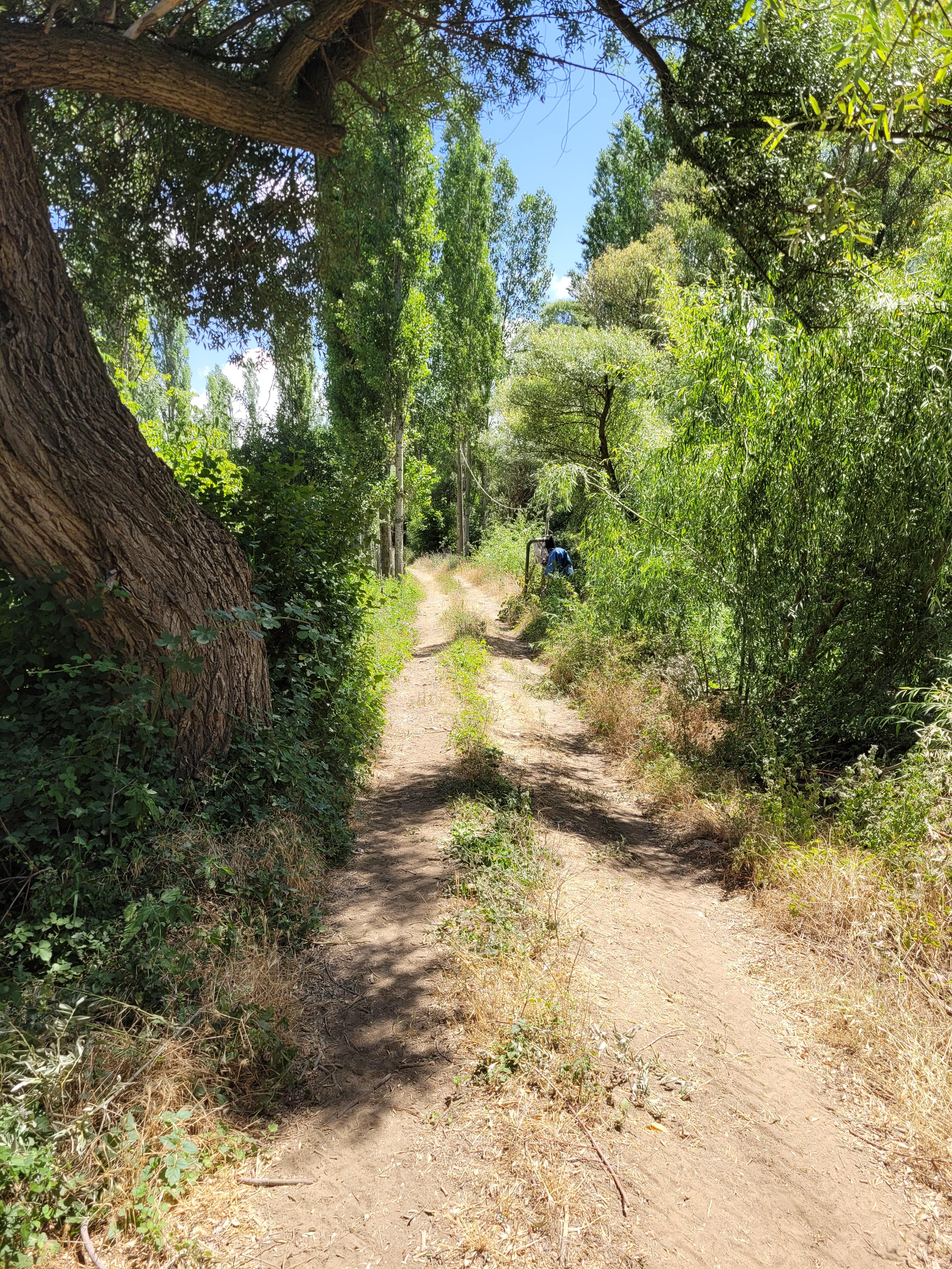 🌿 Keykubad Yolu – Bozkır › Mavi Boğaz Etabı Doğa Yürüyüşü Turu