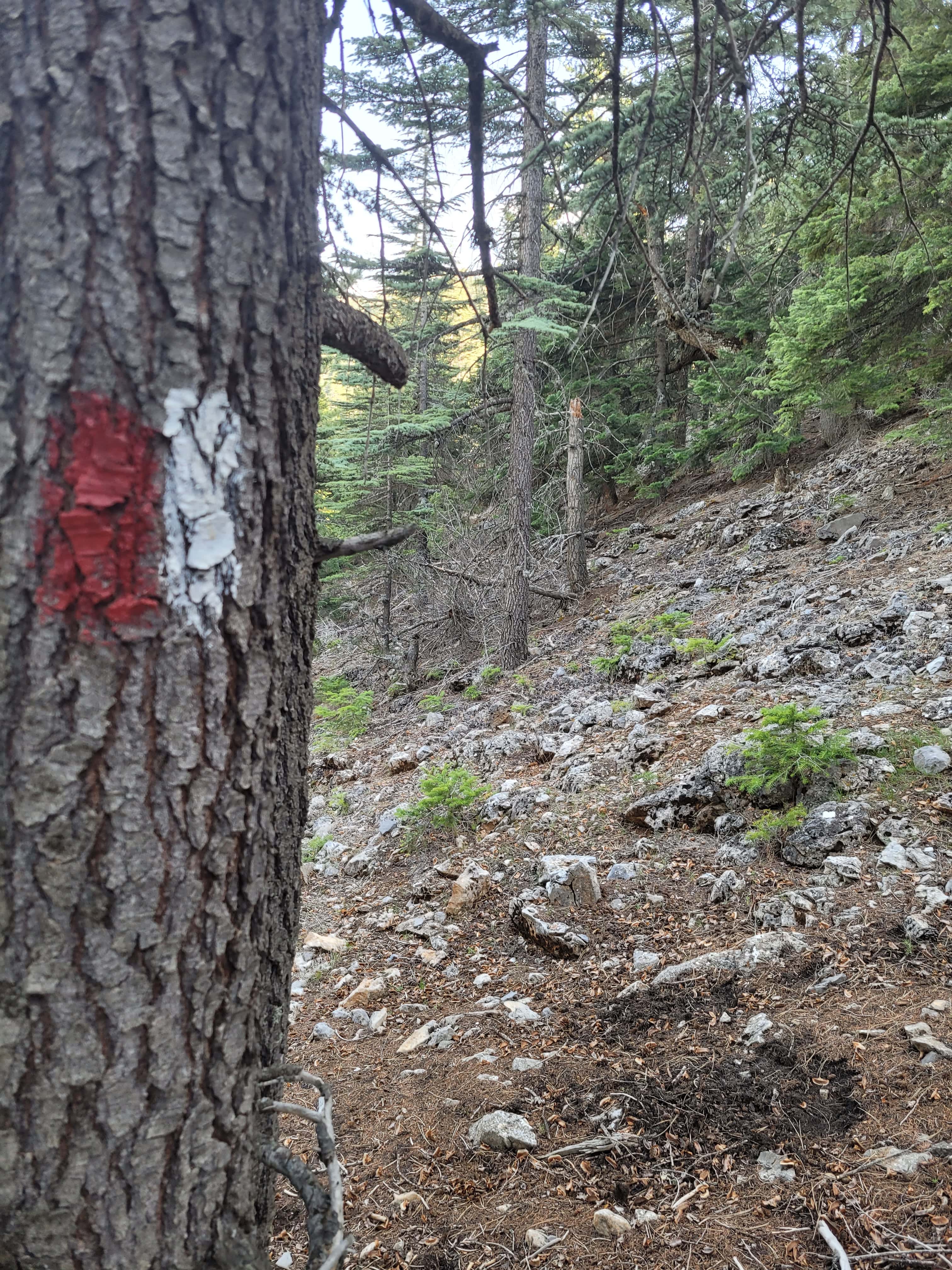 🌿 Zengibar Trail – Bolat › Ovacık Stage Hiking Tour