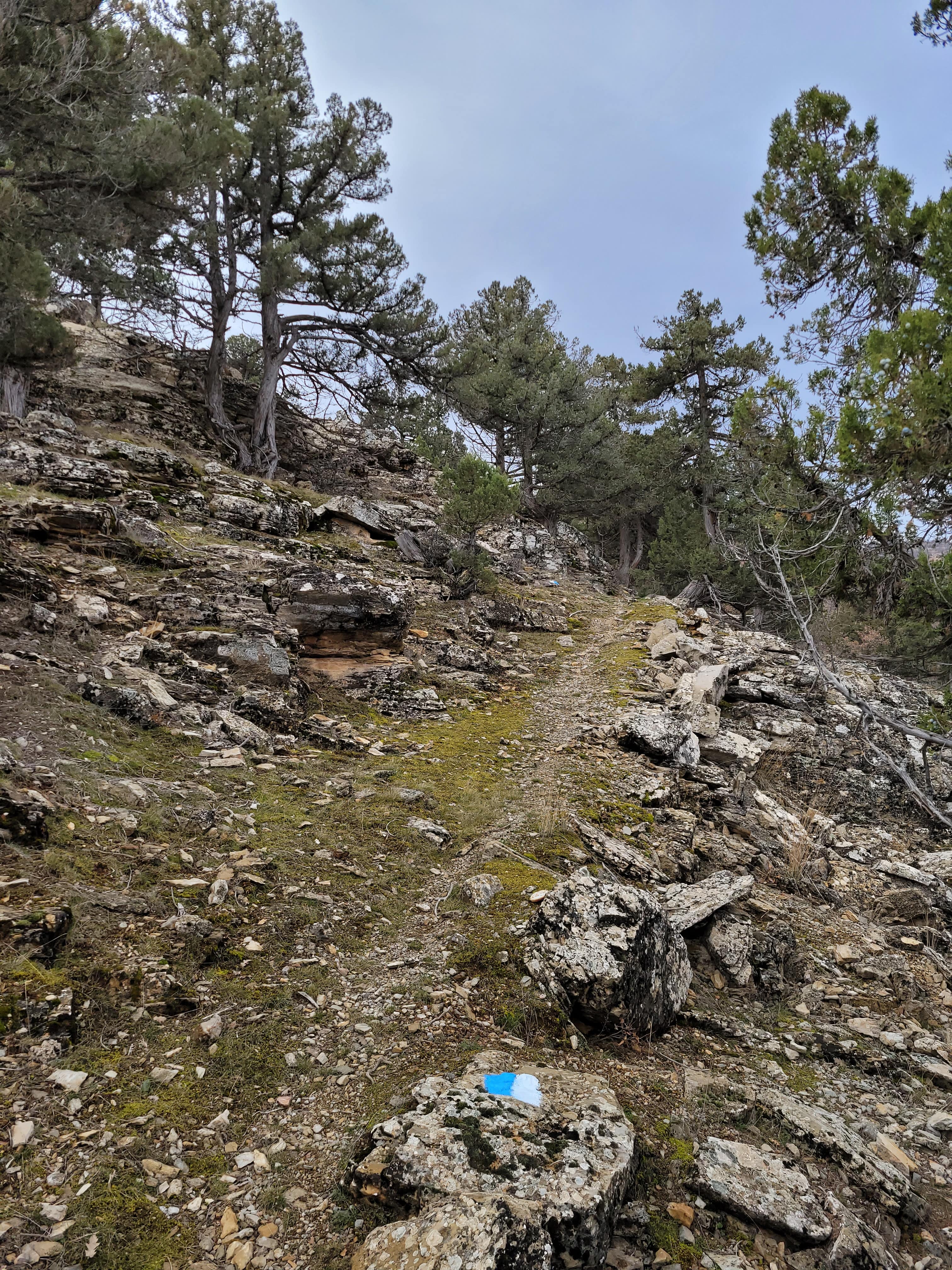 🌿 Keykubad Yolu – Bozkır › Mavi Boğaz Etabı Doğa Yürüyüşü Turu