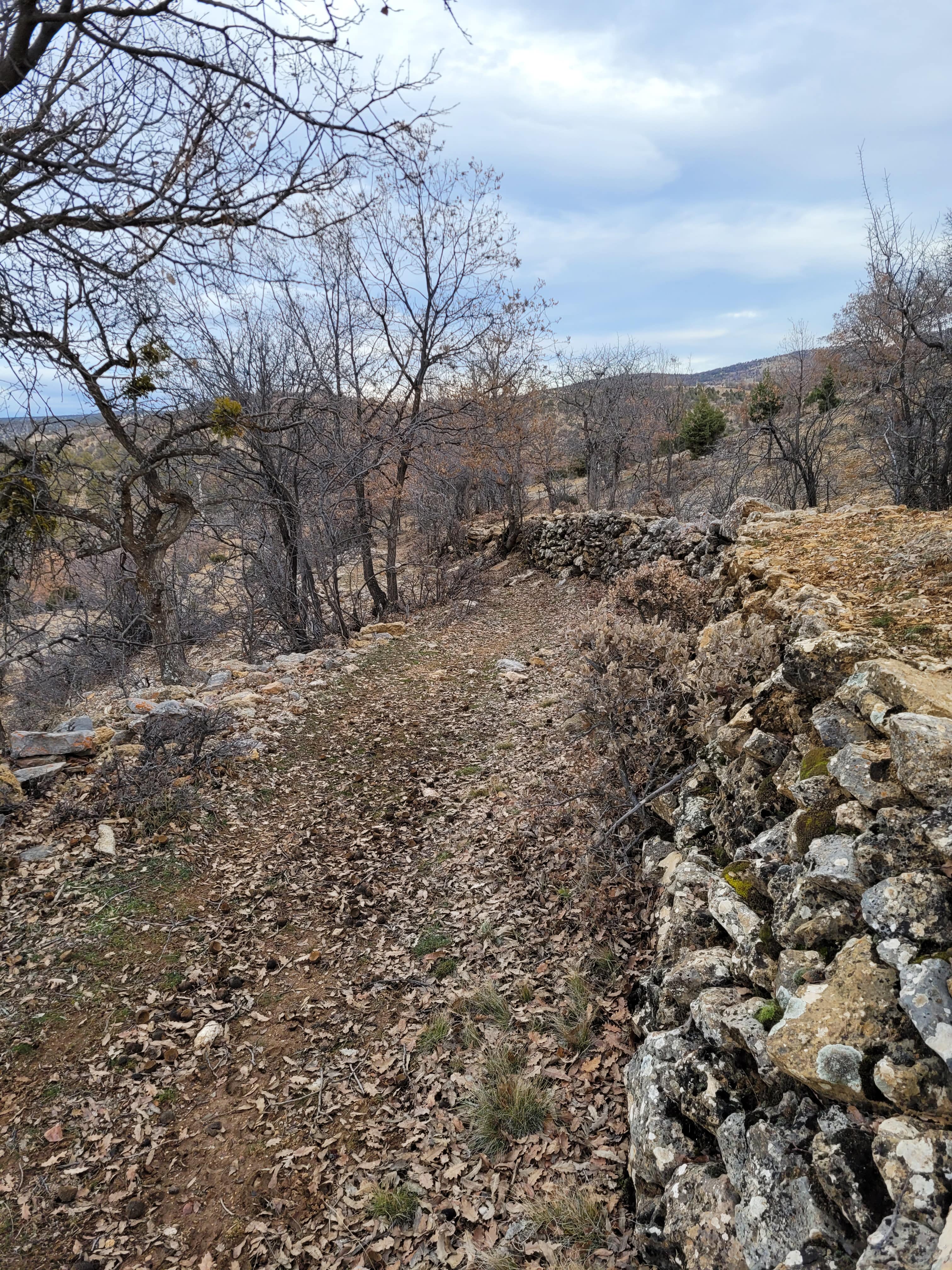 🌿 Keykubad Yolu – Bozkır › Mavi Boğaz Etabı Doğa Yürüyüşü Turu