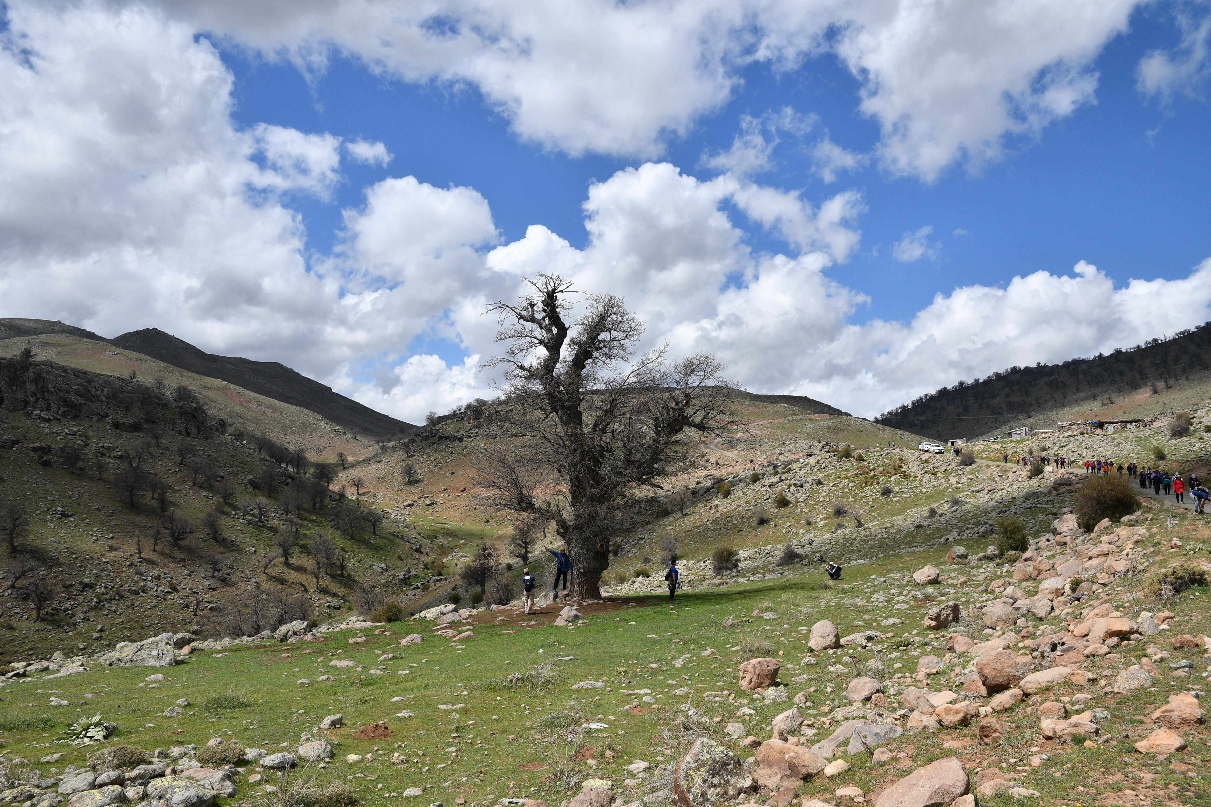 🌿 KEYKUBAD GÖÇ ve KERVAN YOLU Botsa – Evliyatekke – Kilistra Etabı