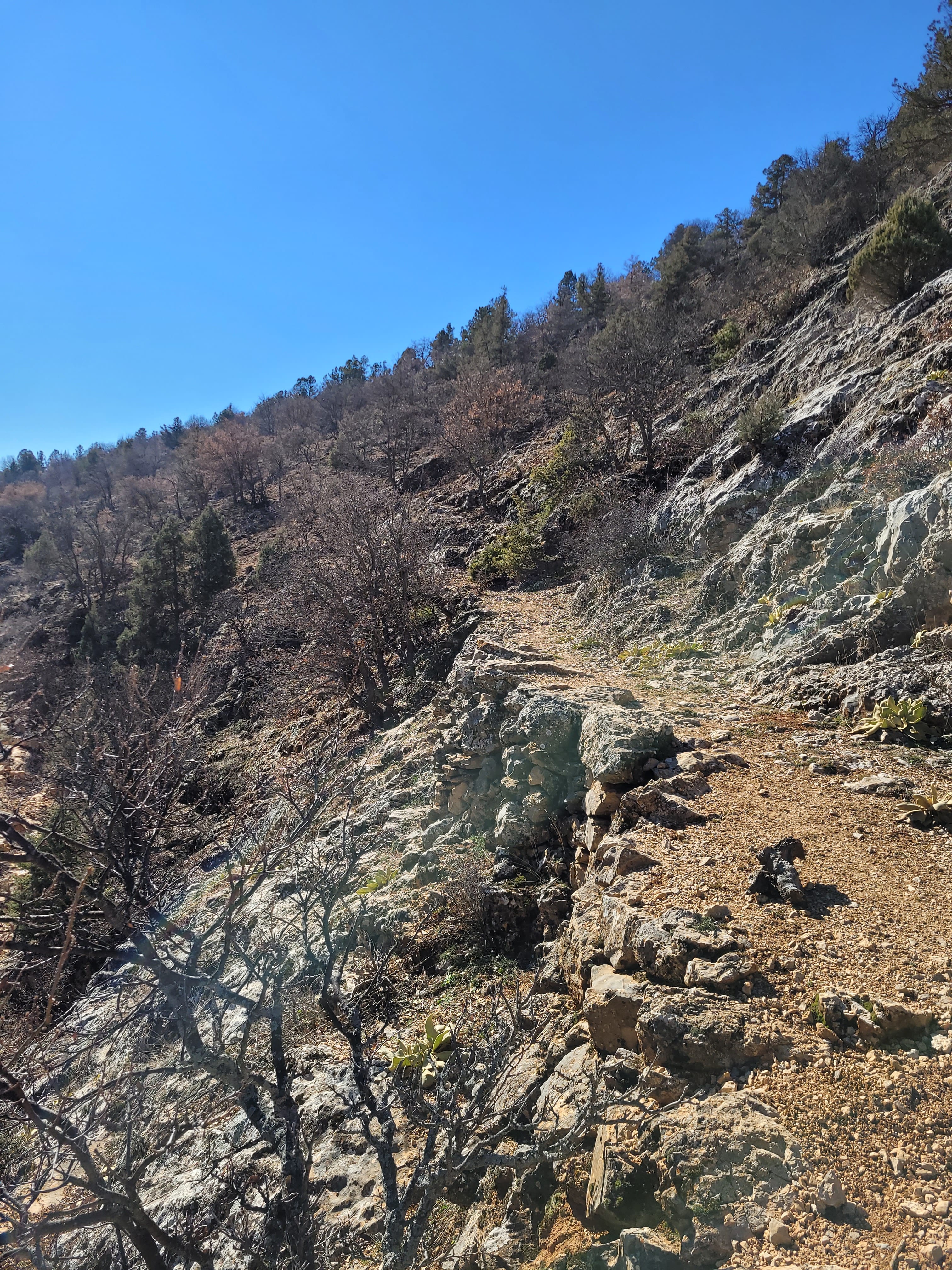 🌿 Keykubad Yolu – Bozkır › Mavi Boğaz Etabı Doğa Yürüyüşü Turu