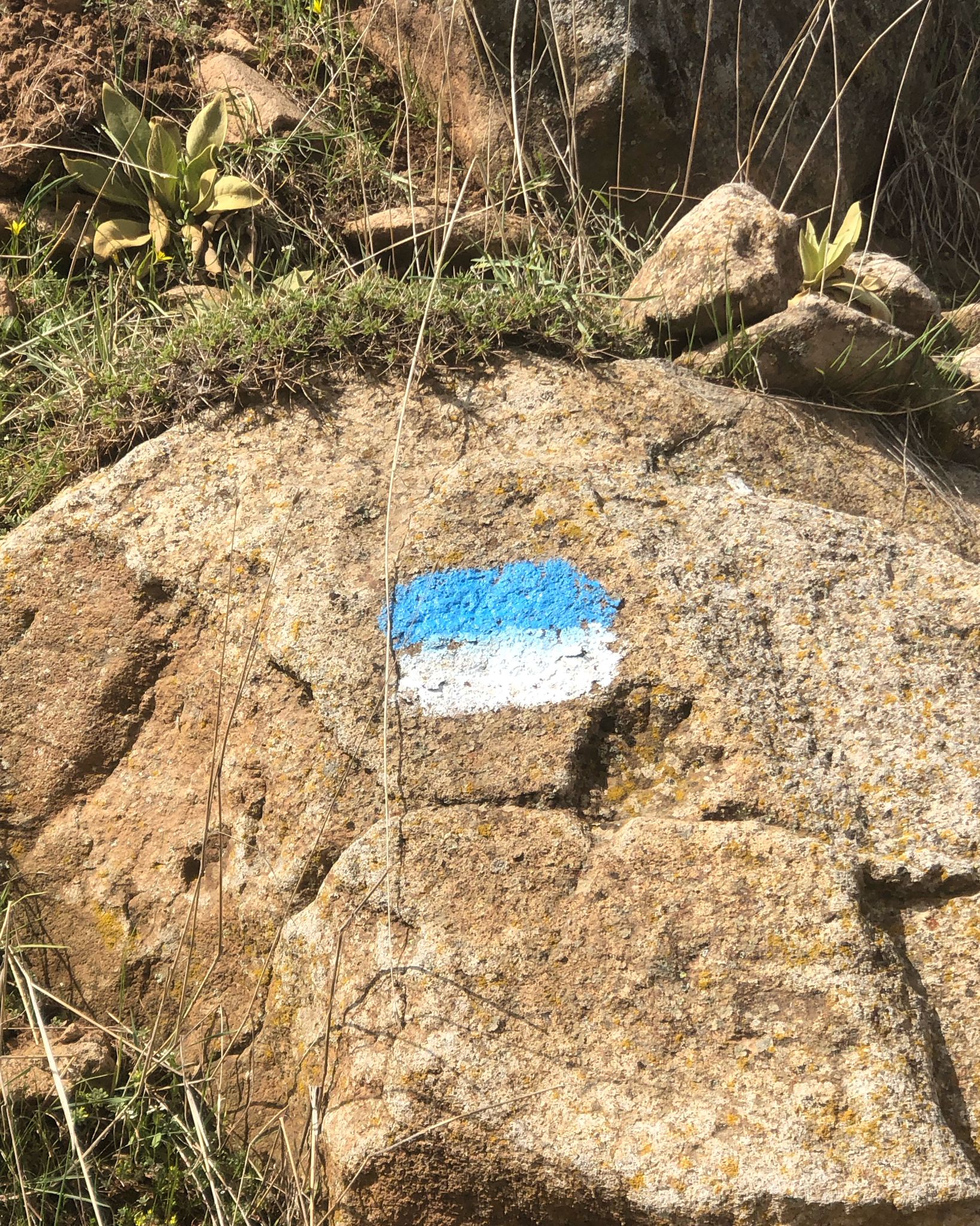 🌿 KEYKUBAD GÖÇ ve KERVAN YOLU Botsa – Evliyatekke – Kilistra Etabı