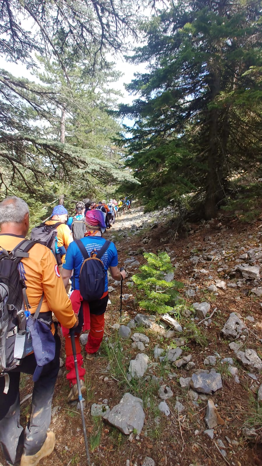 🌿 Zengibar Trail – Bolat › Ovacık Stage Hiking Tour