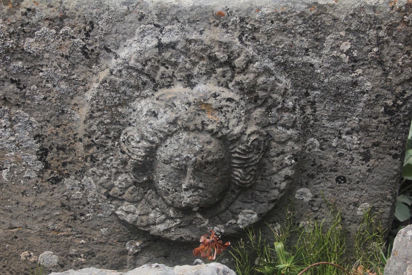 🌿 Zengibar Trail – Bolat › Ovacık Stage Hiking Tour