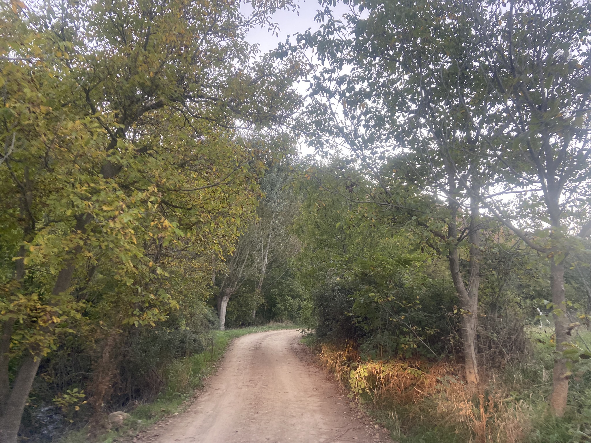 🌿 KEYKUBAD GÖÇ ve KERVAN YOLU Botsa – Evliyatekke – Kilistra Etabı